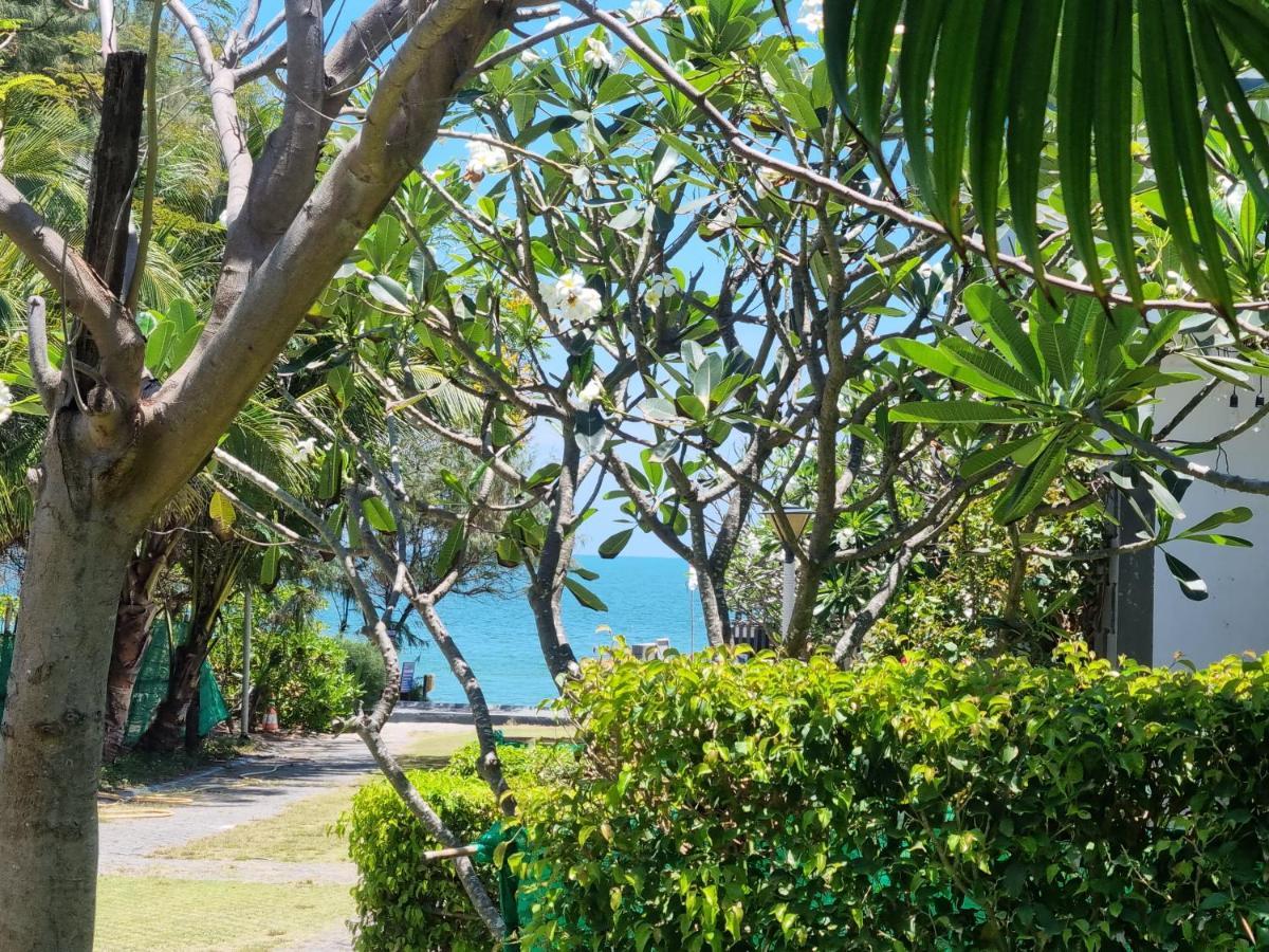 Oceanami Resort Sea View Long Hai Eksteriør bilde