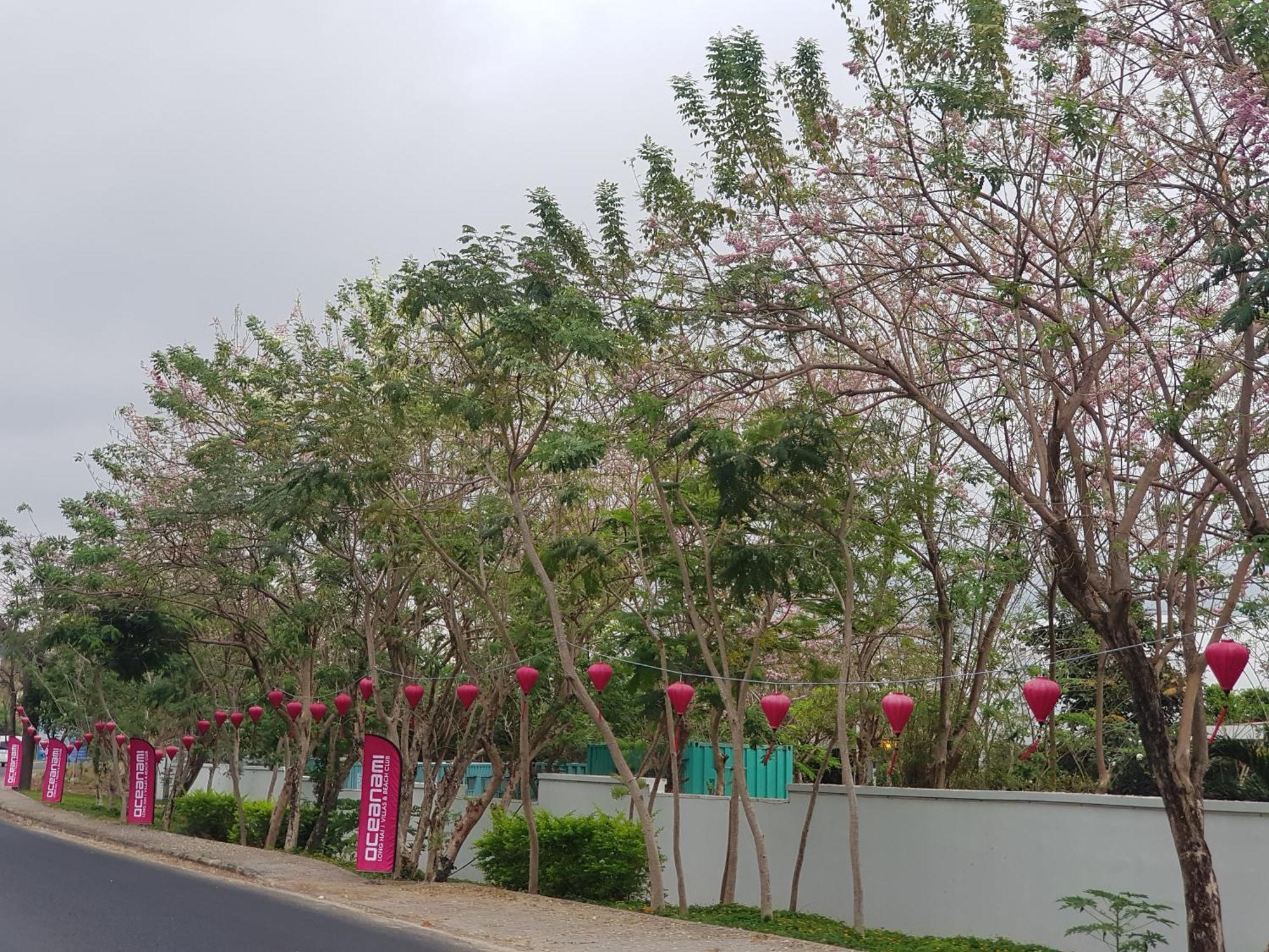 Oceanami Resort Sea View Long Hai Eksteriør bilde