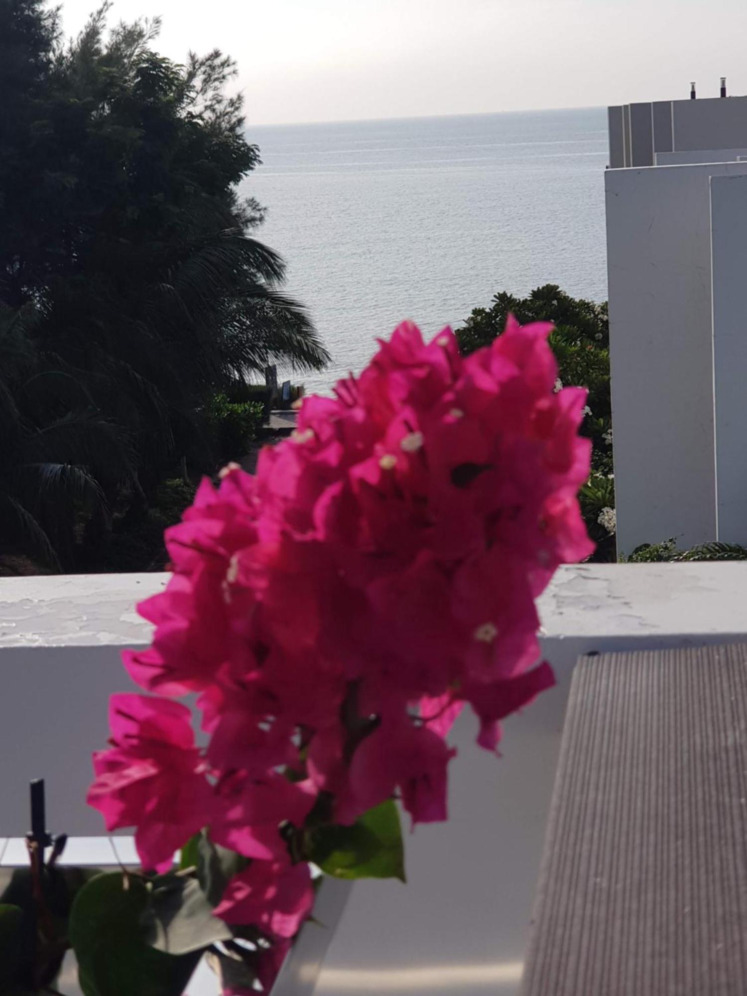 Oceanami Resort Sea View Long Hai Eksteriør bilde